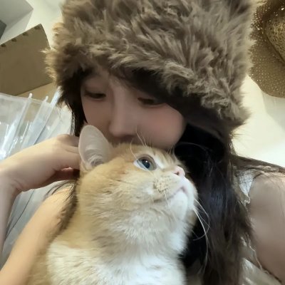 特维和他的七个女儿 海报